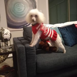 Meet your Posher, Cotash